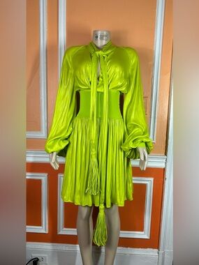 Bottega Veneta Tassel-detailed Chintzed Mini Dress
